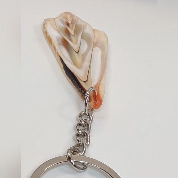 Seashell Keyring Slice Conch Seashell Clearwater Beach, Florida - Picture 11 of 15